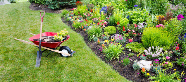 Gardening Business: